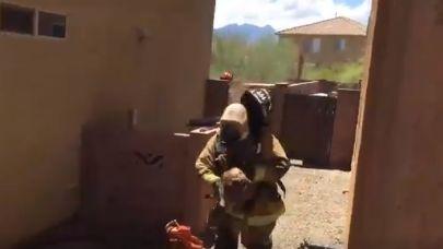 Watch: Firefighters in Green Valley rescue 3-month-old puppy in bee attack
